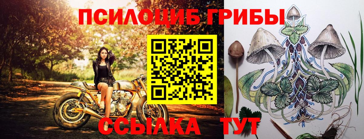 Псилоцибиновые грибы прущие грибы Камышин