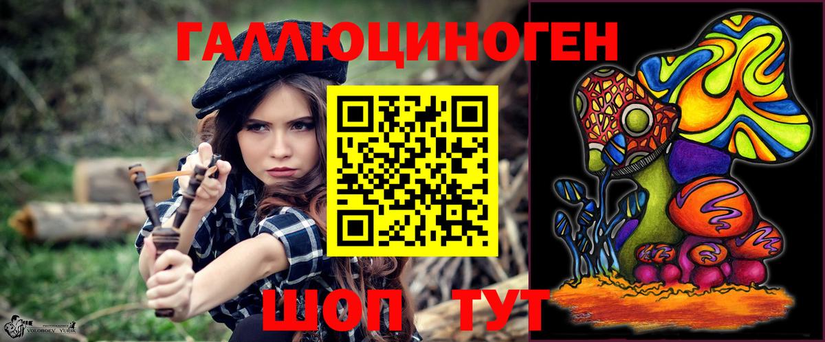 Камышин  Псилоцибиновые грибы ЛСД  наркошоп  Вход с VPN 
